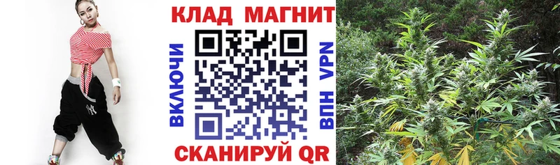Какие есть наркотики Фёдоровский Alpha-PVP  Галлюциногенные грибы  Гашиш  Меф мяу мяу 