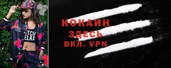 индика Абдулино