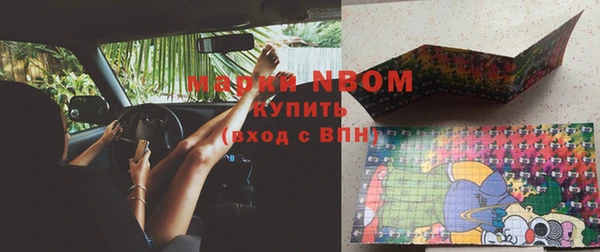 прущие грибы Алзамай
