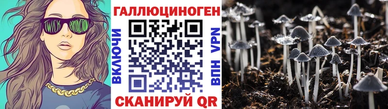 Псилоцибиновые грибы Psilocybine cubensis Фёдоровский